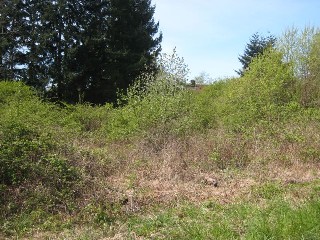 Picture of Point Roberts Parcel Number 405303-185160